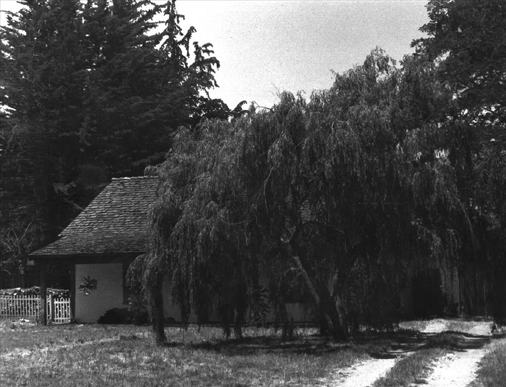 Branciforte Adobe