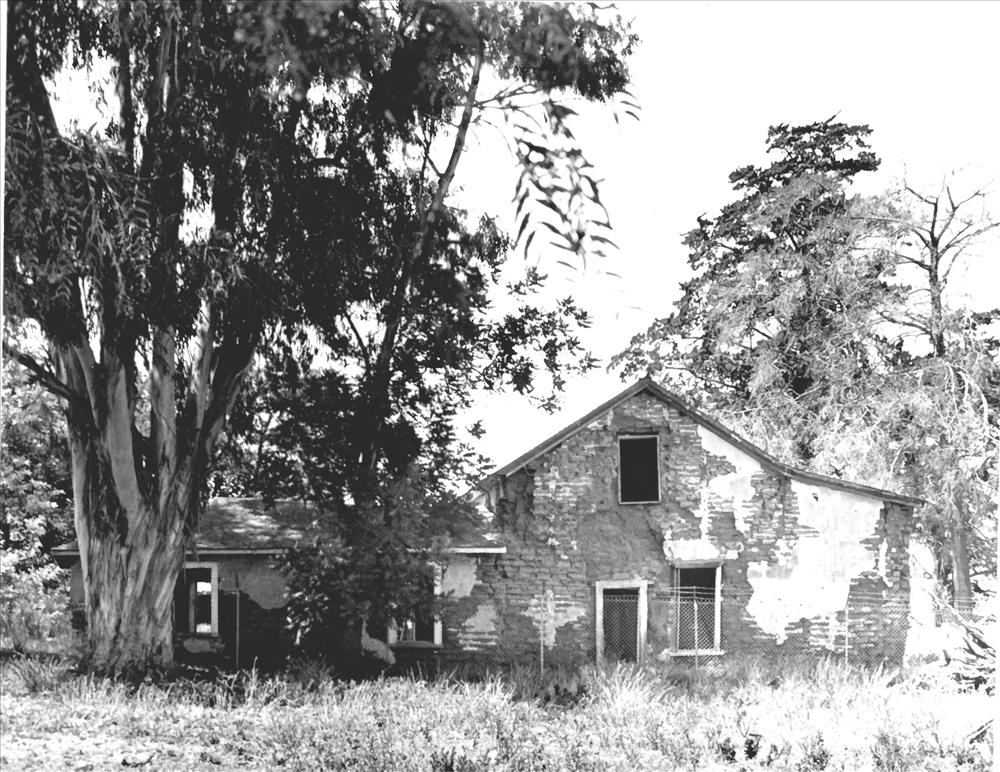 Dana Adobe