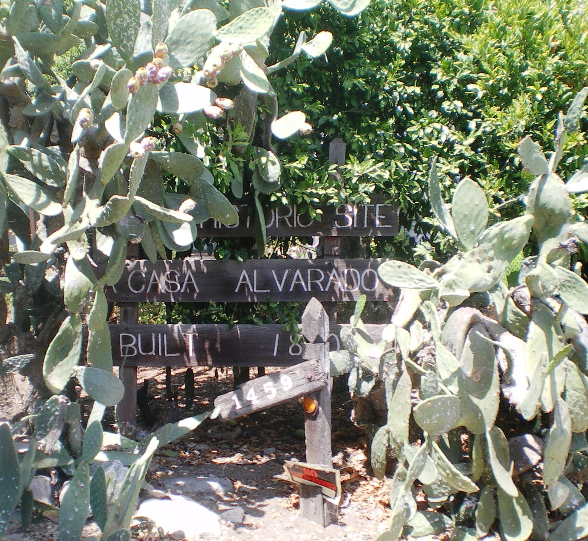 La Casa Alvarado
