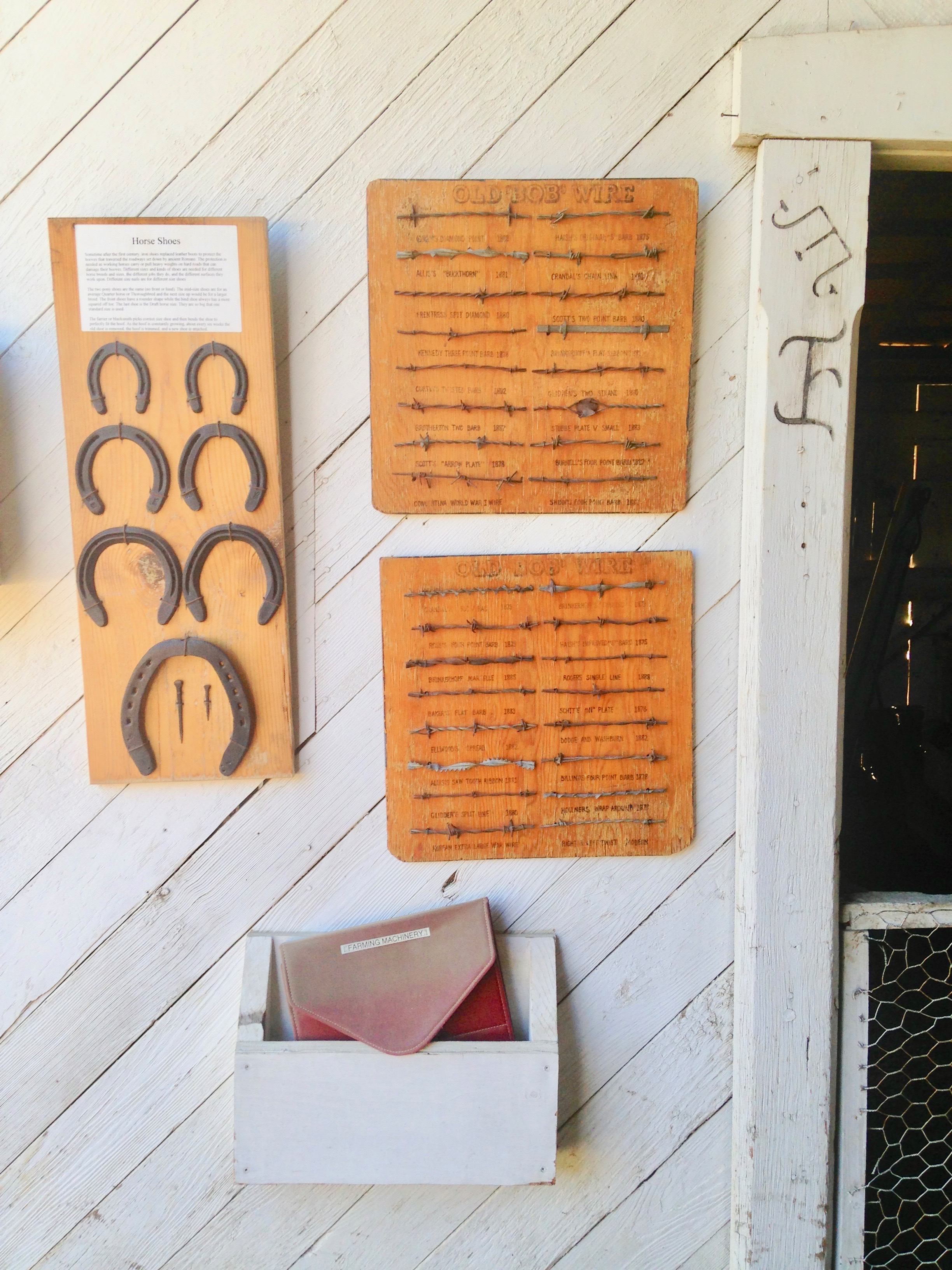 Leonis Adobe